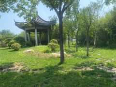 -武清南湖绿博园