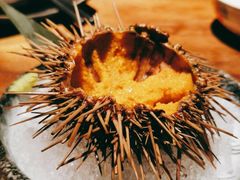 -千代武日本料理(爱建店)