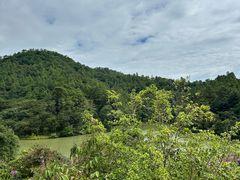 -广州白江湖森林公园