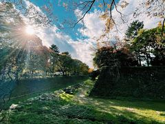 -名古屋城