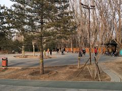 -回龙观体育文化公园