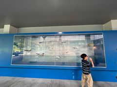 -成飞公园