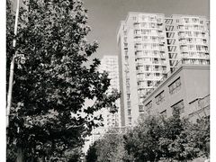 -鲜鱼口老字号美食街