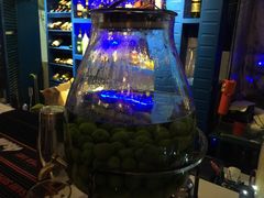 -Sirena海妖日咖夜酒