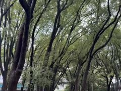 -江西科技师范大学(枫林校区)