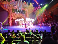 -珠海横琴长隆《卡卡虎奇遇记》