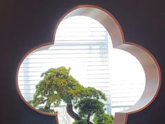 -苏淮景·苏闽融创菜·海鲜(原空港井河轩店)