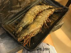 -熊出没日本烧肉放题