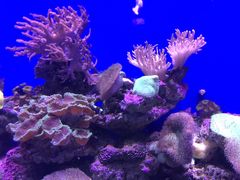 -青岛海底世界-水族馆