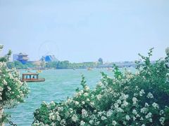 -光岳楼