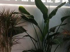 -官亭路小吃一条巷