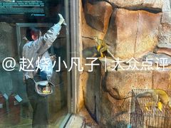 -泉城欧乐堡海洋极地世界
