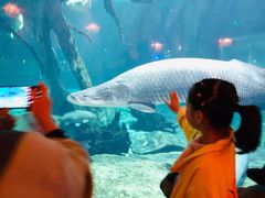 -华夏文旅海洋公园