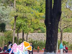 -仙岳公园