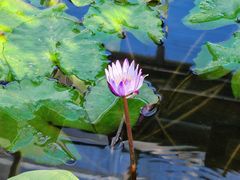 -国家植物园南园