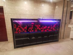 -常州环球恐龙城维景国际大酒店
