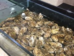 -旺顺阁海鲜广场(亚运村店)