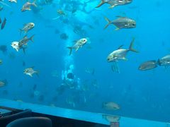 -瑞德姆美人鱼海底演艺主题餐厅(亚龙湾店)