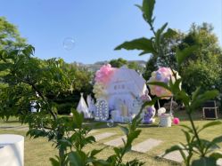 -觅糖派对·宝宝宴生日宴一站式派对策划(河西店)