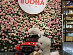 -百好乐宠物友好餐厅(朝外大街店)