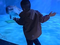 -泉城欧乐堡海洋极地世界