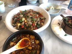 -陈麻婆豆腐总店