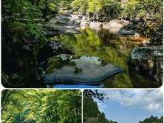 -茅兰沟国家森林公园