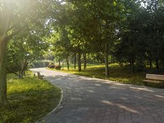 -老君堂公园