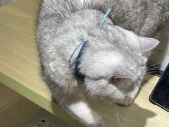 -Oasis绿洲银饰珍珠手作diy(壹方城店)