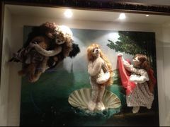 -济州岛泰迪熊博物馆