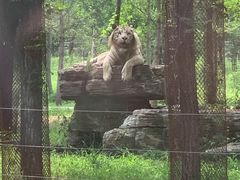 -秦皇岛野生动物园
