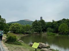 -牛首山文化旅游区