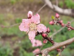 -广富林郊野公园