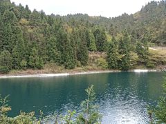-武陵山森林公园