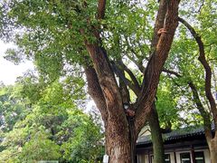 -常熟方塔园
