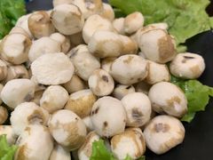 野生珍珠马蹄-东椰·海南椰子鸡火锅(朝阳门店)