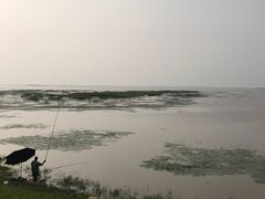 -白渔泡湿地公园