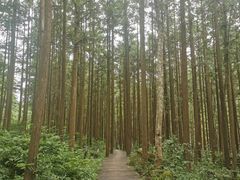 -姑婆山旅游区