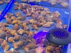 -澜悦港海鲜体验主题餐厅