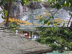 -湖泉半山温泉
