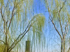 -西海子公园