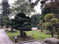 -南宁南湖公园