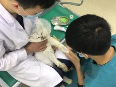 -中农大我爱我爱动物医院(甜水园店)