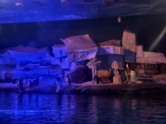 -海合安武汉极地海洋公园