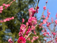 -白塘生态植物园