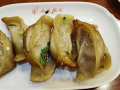 鲜肉锅贴-小姜锅贴(凤凰街店)