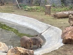 -武汉动物园