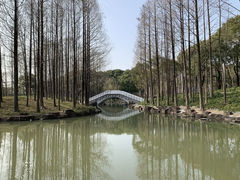 -大宁公园