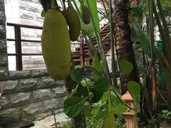 -七仙岭君澜度假酒店·桃源小馆中餐厅
