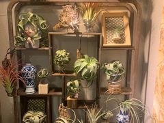 -Rabbit Cafe私房西餐甜点咖啡(栖霞路店)